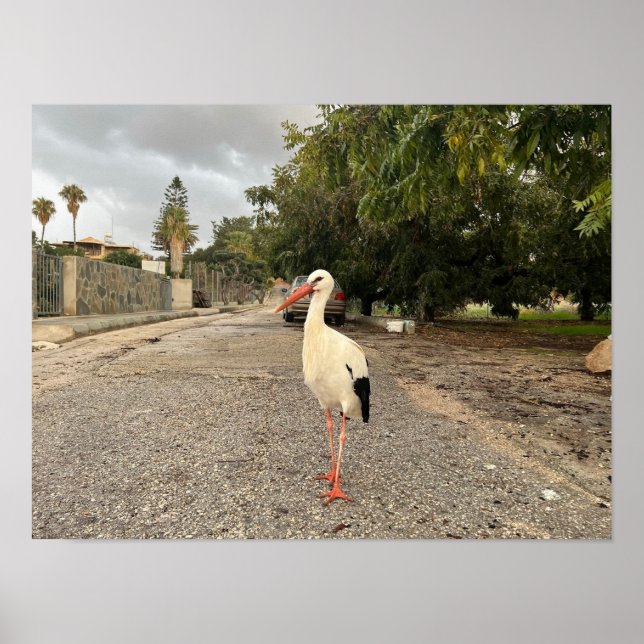 Porträtt av en stork poster (Framsidan)