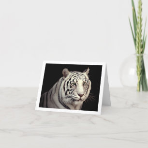Porträtt av en vitBengal tiger Kort