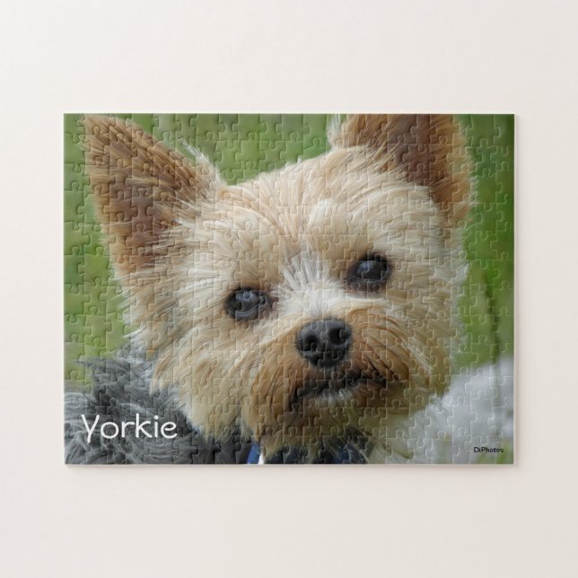 Porträtt av en Yorkshire Terrier Pussel (Horisontell)