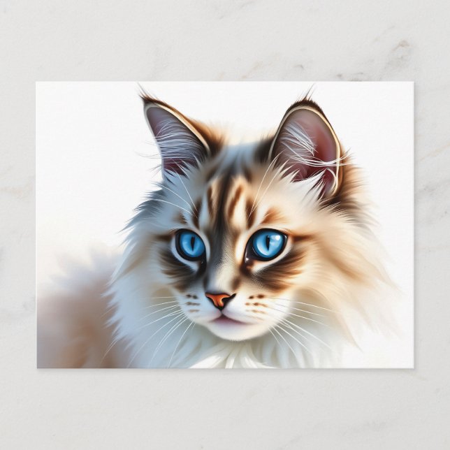 Porträtt av fluffig ragdollkatt med blå ögon vykort (Framsida)