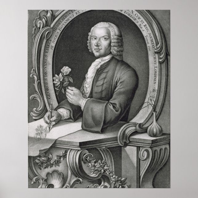 Porträtt av Georg Dionysius Ehret (1710-70) engrav Poster (Framsidan)