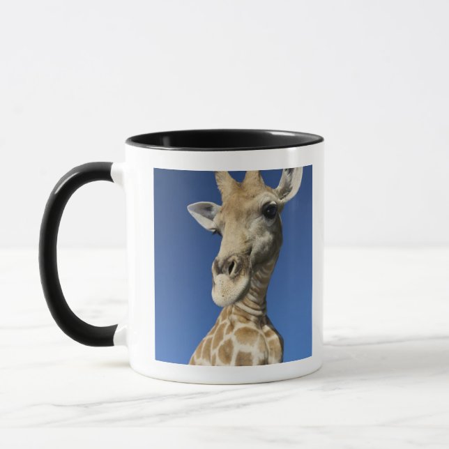 Porträtt av giraffet (giraffaen Camelopardalis) 2 Mugg (Vänster)