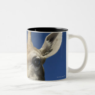 Porträtt av giraffet (giraffaen Camelopardalis) 2 Två-Tonad Mugg