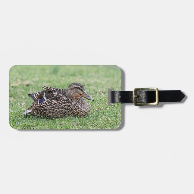 Porträtt av hongräsänder bagagebricka (Horisontell Framsida)