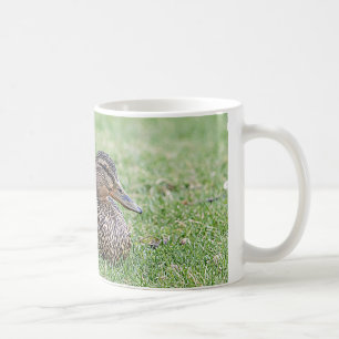 Porträtt av hongräsänder kaffemugg