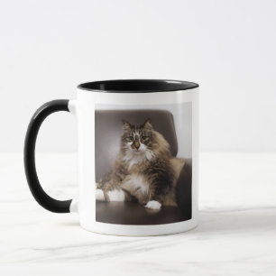 Porträtt av kattsitta i stol mugg