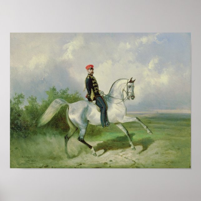 Porträtt av kejsare Alexander II 1876 Poster (Framsidan)