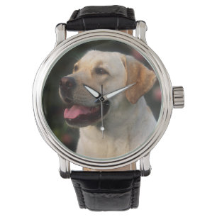 Porträtt av labrador retriever, Hilton Armbandsur