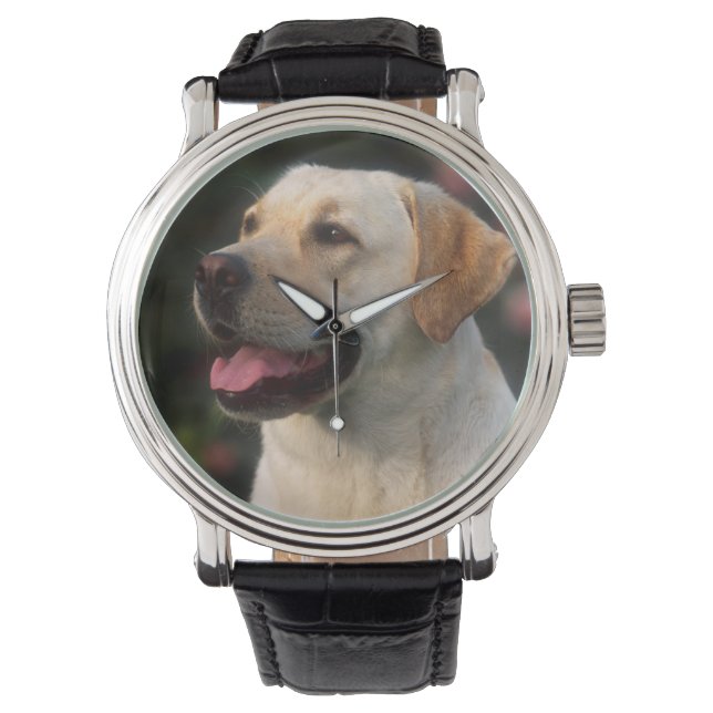 Porträtt av labrador retriever, Hilton Armbandsur (Framsida)