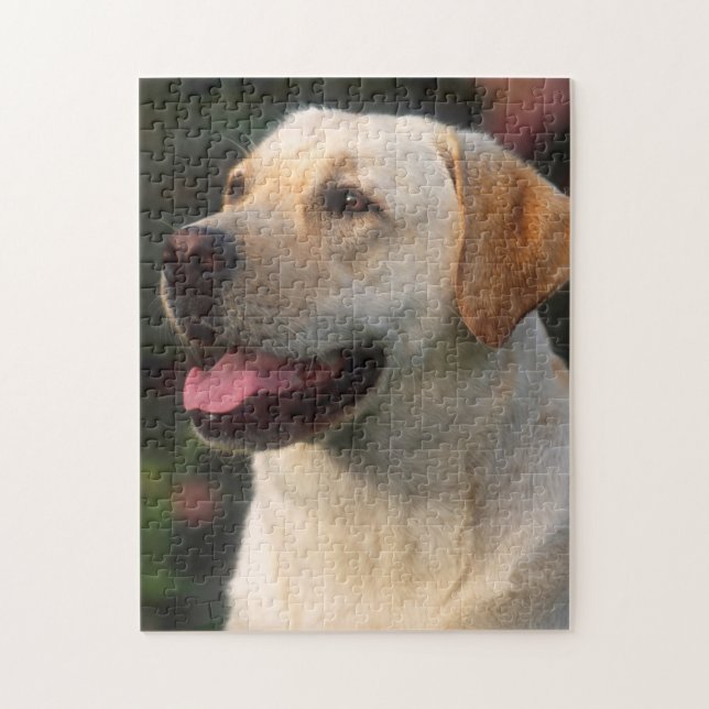 Porträtt av labrador retriever, Hilton Pussel (Vertikal)