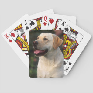 Porträtt av labrador retriever, Hilton Spelkort