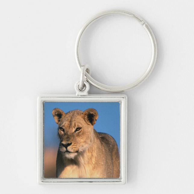 Porträtt av lejoninna (Panthera Leo) Fyrkantig Silverfärgad Nyckelring (Framsidan)