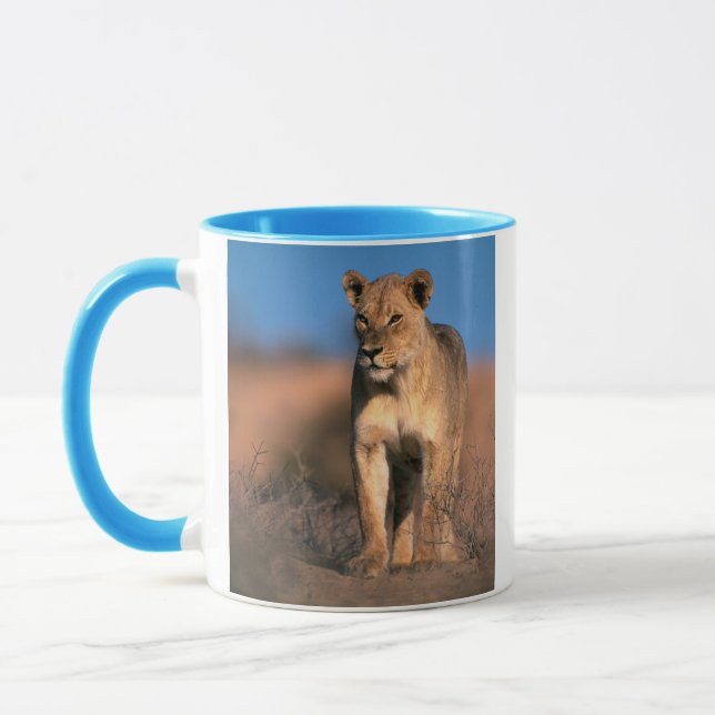 Porträtt av lejoninna (Panthera Leo) Mugg (Vänster)
