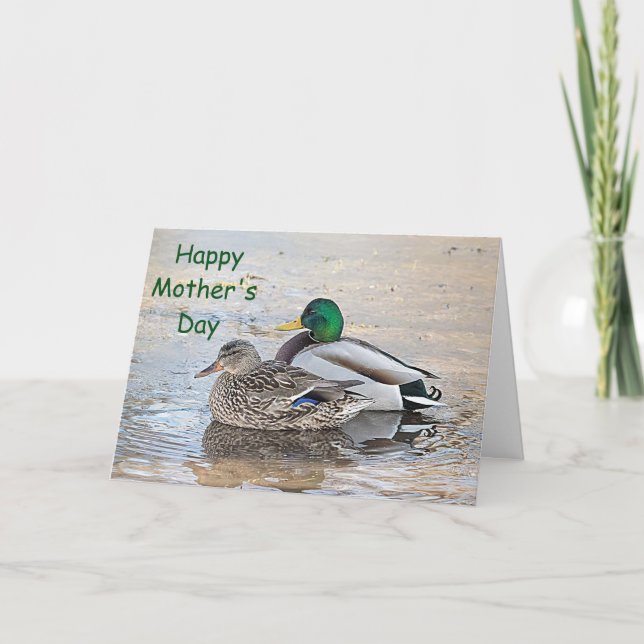 Porträtt av manliga och kvinnliga gräsänder kort (Framsida)