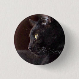 Porträtt av min pojke, Charlie Button Knapp