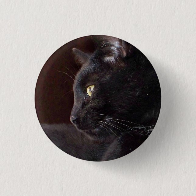 Porträtt av min pojke, Charlie Button Knapp (Framsida)