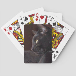 Porträtt av min pojke, Charlie-spelkort Casinokort