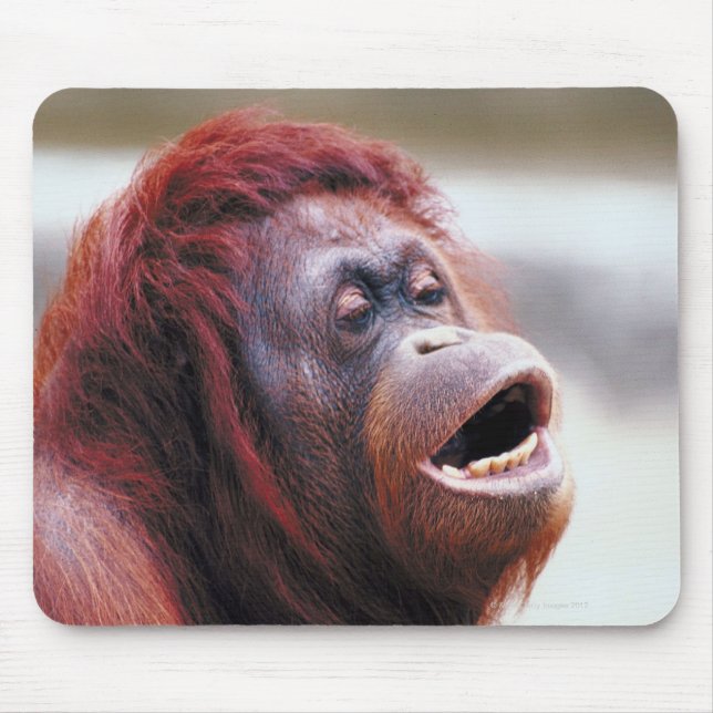 Porträtt av orangutan musmatta (Framsidan)