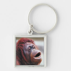Porträtt av orangutanen fyrkantig silverfärgad nyckelring