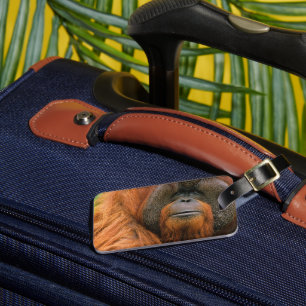 Porträtt av orangutang manlig, Georgia, USA Bagagebricka