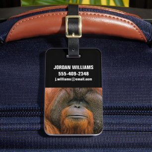 Porträtt av orangutang manlig, Georgia, USA Bagagebricka