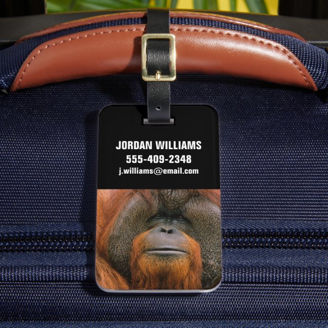 Porträtt av orangutang manlig, Georgia, USA Bagagebricka (Framsida Insitu 2)