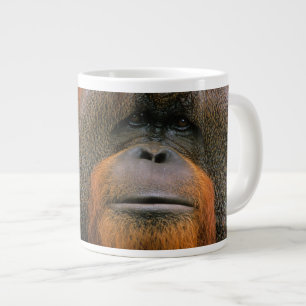 Porträtt av orangutang manlig, Georgia, USA Jumbo Mugg
