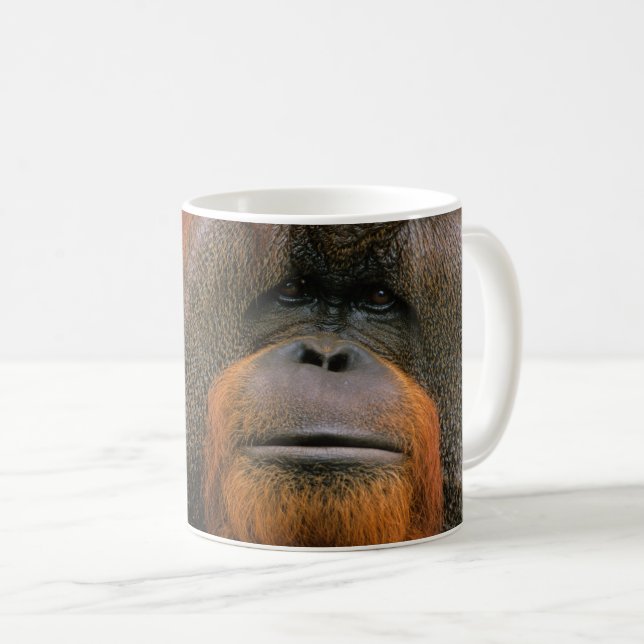 Porträtt av orangutang manlig, Georgia, USA Kaffemugg (Framsida höger)