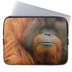 Porträtt av orangutang manlig, Georgia, USA Laptop Fodral