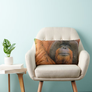 Porträtt av orangutang manlig, Georgia, USA Lumbarkudde