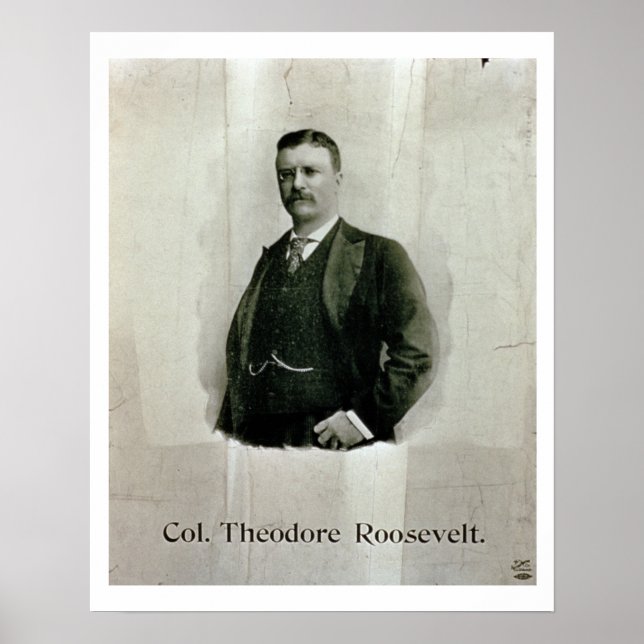 Porträtt av överste Theodore Roosevelt (litho) Poster (Framsidan)