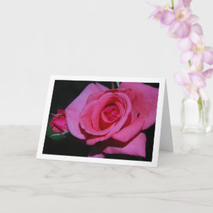 Porträtt av rosa rosblomma kort