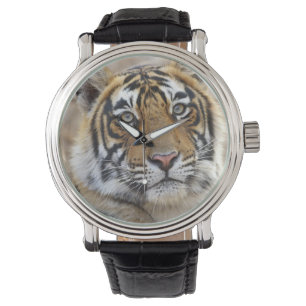 Porträtt av Royal Bengal Tiger, Ranthambhor Armbandsur