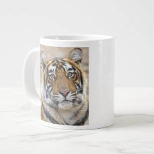 Porträtt av Royal Bengal Tiger, Ranthambhor Jumbo Mugg