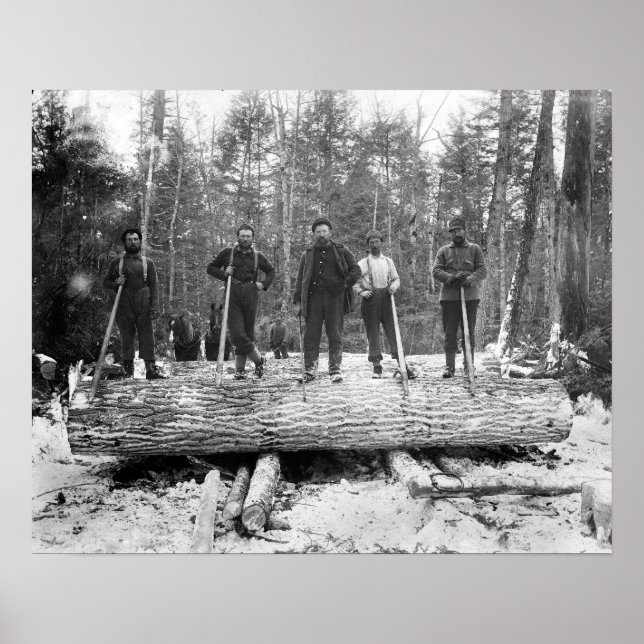 Porträtt av Skogshuggare, 1890. Gammalt Fotografí Poster (Framsidan)