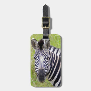 Porträtt av stäppzebra, Hluhluwe-Umfolozi Game Bagagebricka