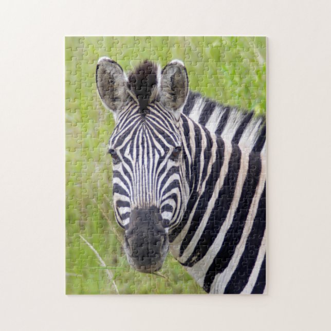 Porträtt av stäppzebra, Hluhluwe-Umfolozi Game Pussel (Vertikal)
