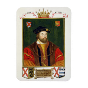 Porträtt av Thomas Fitzgerald (1513-37) Lord Offa Magnet