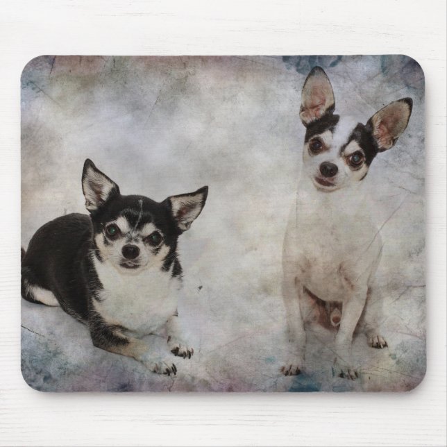 Porträtt av två chihuahuas musmatta (Framsidan)