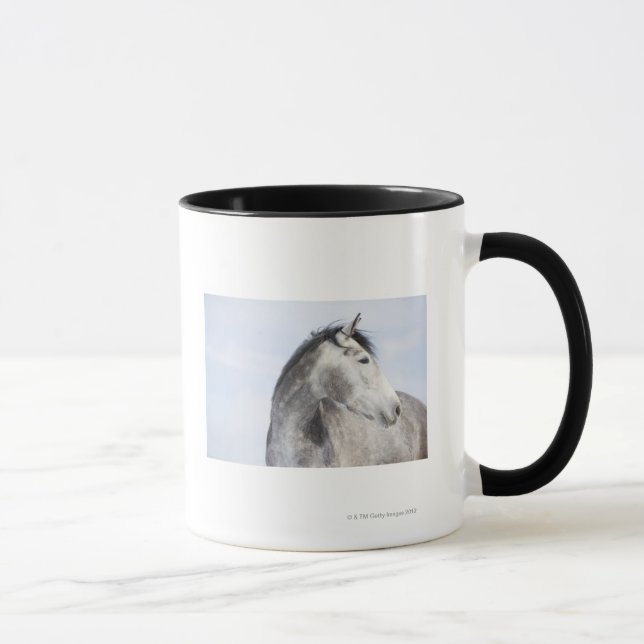 porträtt av vithäst 2 mugg (Höger)