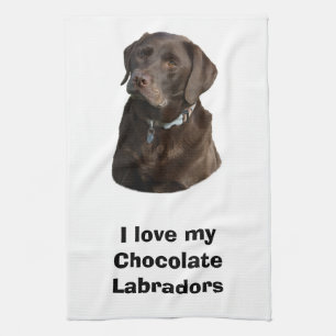 Porträtt för foto för chokladLabrador hund Kökshandduk