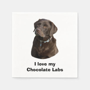 Porträtt för foto för chokladLabrador hund Pappersservett