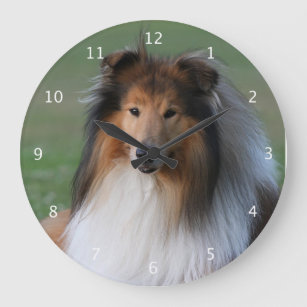 Porträtt för foto för grov colliehund härligt stor klocka
