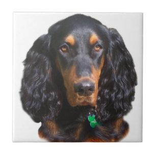 Porträtt för Gordon Setter Kakelplatta