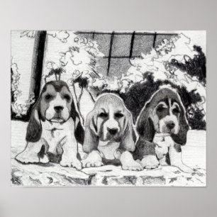 Porträtt för hund för Bassethundvalpar Poster