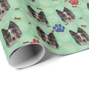 Porträtt för Shetland Sheepdog Presentpapper