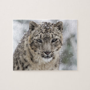 Porträtt för snöLeopard i snö 3 Pussel
