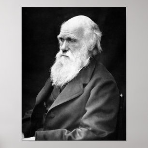 Porträtt Foto av Charles Darwin Poster