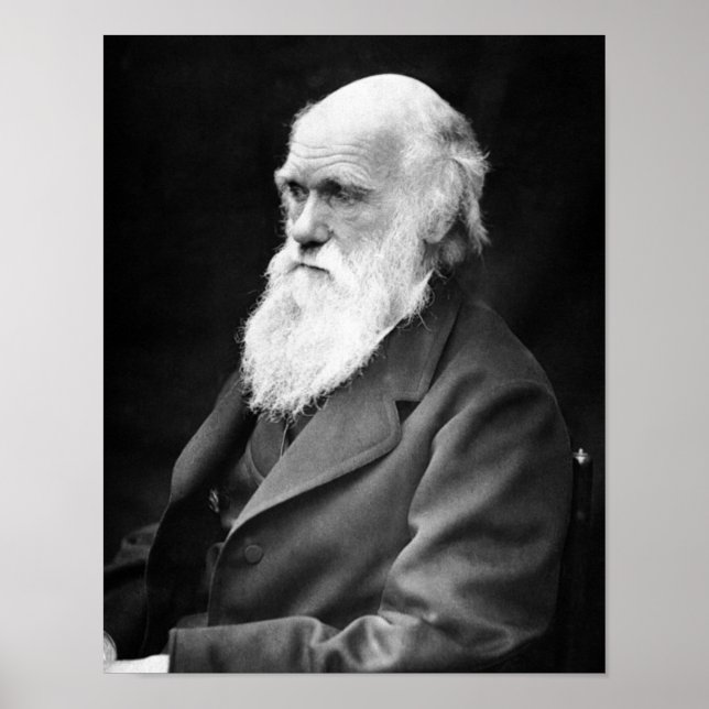Porträtt Foto av Charles Darwin Poster (Framsidan)