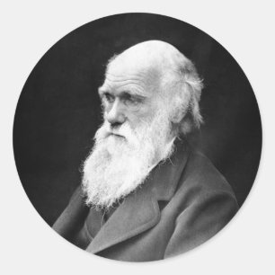 Porträtt Foto av Charles Darwin Runt Klistermärke